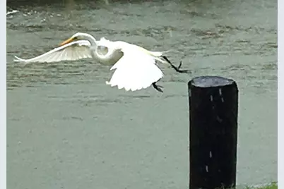 16 Harbor Lane, Kemah, TX 77565 - Photo 40