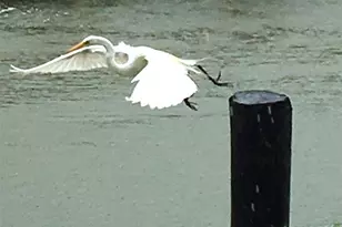 16 Harbor Ln, Kemah, TX 77565 - Photo 40