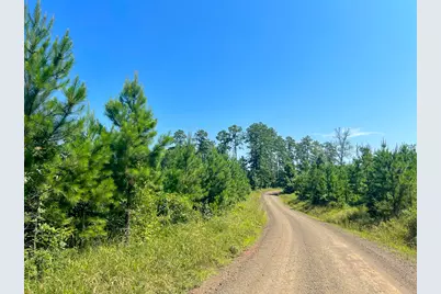 12 Carters Ferry Road, Milam, TX 75959 - Photo 4