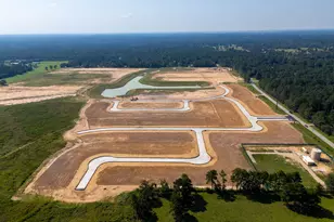 225 Elm Spring Dr, Hockley, TX 77447 - Photo 24