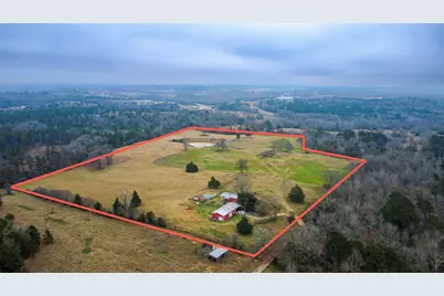 875 An County Road 2150, Palestine, TX 75801 - Photo 2