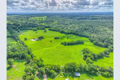 000 County Road 1750, Grapeland, TX 75844 - Photo 2
