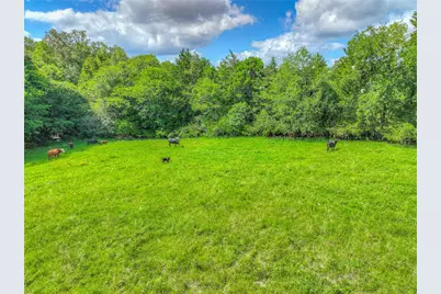 000 County Road 1750, Grapeland, TX 75844 - Photo 16