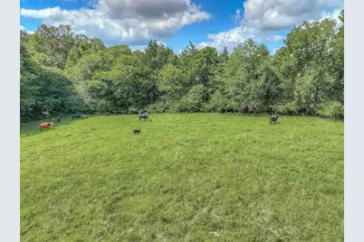 000 County Road 1750, Grapeland, TX 75844 - Photo 16