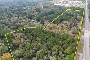 17278 Fm 2090 Rd, Conroe, TX 77306 - Photo 2