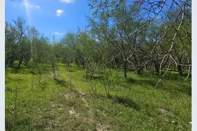 1714 J Newz Lane, Wallis, TX 77485 - Photo 4