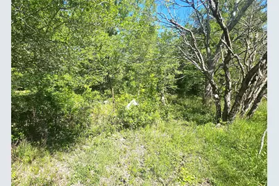 1714 J Newz Lane, Wallis, TX 77485 - Photo 8