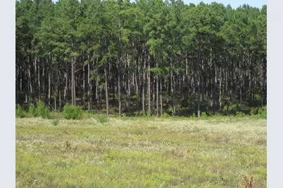 0025 Fm 256 N, Woodville, TX 75979 - Photo 1