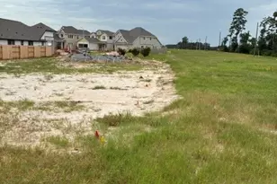 32036 Retama Ranch Ln, Spring, TX 77386 - Photo 8