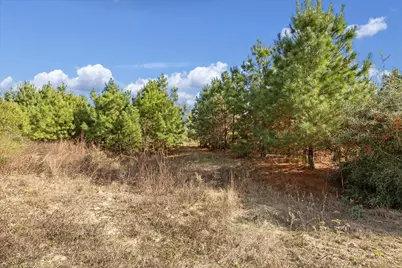0 Mack Washington Lane, Hempstead, TX 77445 - Photo 16