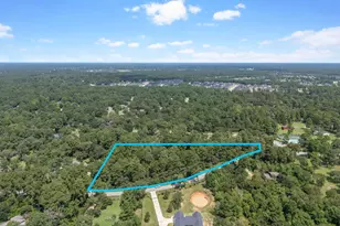 Tbd Stagecoach Rd, Stagecoach, TX 77355 - Photo 10