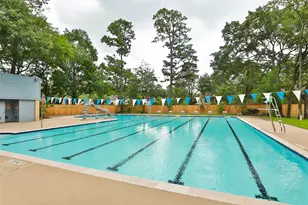 6726 Seinfeld Ct, Houston, TX 77069 - Photo 42