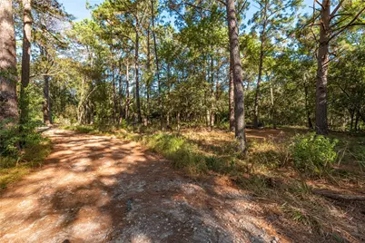 225 Foster Street, Alvin, TX 77511 - Photo 38