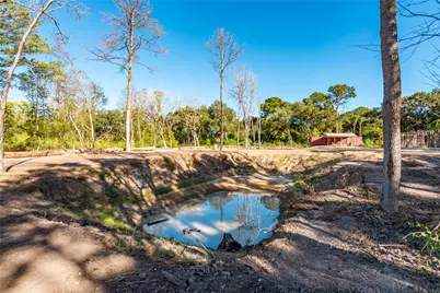 225 Foster Street, Alvin, TX 77511 - Photo 20