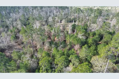 1502 Fm 1309, Lovelady, TX 75851 - Photo 18