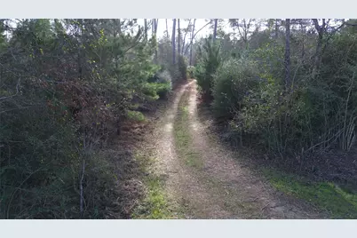 1502 Fm 1309, Lovelady, TX 75851 - Photo 6