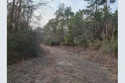 617 John Wesley Hardin Drive, Corrigan, TX 75939 - Photo 4