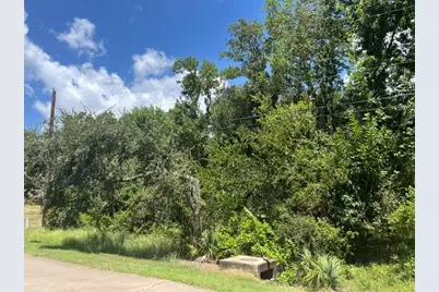 1131 Bronco Trail, Angleton, TX 77515 - Photo 4