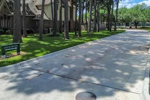 14211 Napier Ct, Houston, TX 77069 - Photo 48