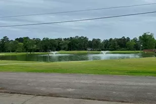 121 Water Oak, Village Mills, TX 77663 - Photo 22