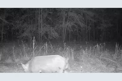 1653 Private Road 8160, Lovelady, TX 75851 - Photo 12