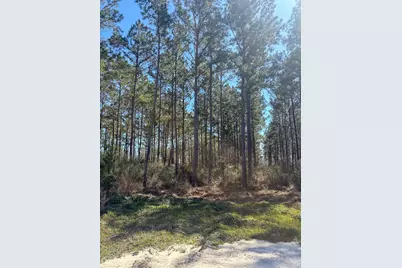 1653 Private Road 8160, Lovelady, TX 75851 - Photo 6