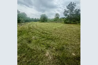 1653 Private Road 8160, Lovelady, TX 75851 - Photo 8