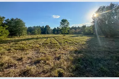 1653 Private Road 8160, Lovelady, TX 75851 - Photo 16