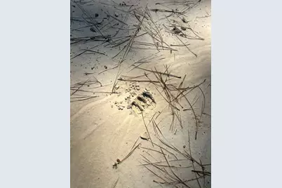 1653 Private Road 8160, Lovelady, TX 75851 - Photo 4