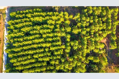 Lot 9 Nursery Road, Livingston, TX 77351 - Photo 20