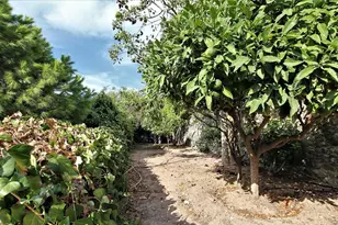 0 Aghia Marina (Barbara), , - Photo 44