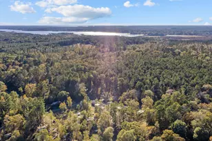 171 County Rd 421, Bronson, TX 75930 - Photo 2