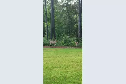 797 Lonestar Road, Huntsville, TX 77340 - Photo 32