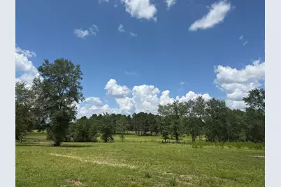 Tbd N County Road 4050  Tract 1 Road, Lovelady, TX 75851 - Photo 1