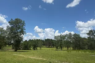 Tbd N County Road 4050 Tract 1 Rd, Lovelady, TX 75851 - Photo 1