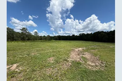 Tbd N County Road 4050  Tract 1 Road, Lovelady, TX 75851 - Photo 4
