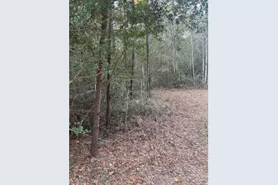 Tbd Fire Tower, Conroe, TX 77306 - Photo 8