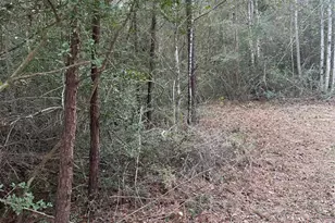 Tbd Fire Tower, Conroe, TX 77306 - Photo 8