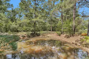 7576 Greenwood Dr, Cleveland, TX 77328 - Photo 34