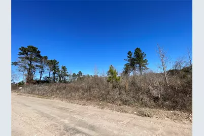Tbd Kickapoo Road, Groveton, TX 75845 - Photo 4