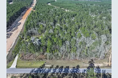 15268 Forest Grove Drive, Willis, TX 77378 - Photo 6