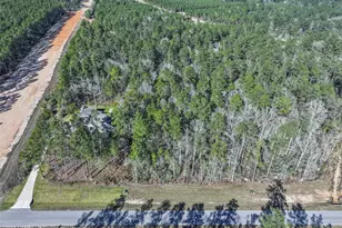 15268 Frst Grv Dr, Willis, TX 77378 - Photo 6