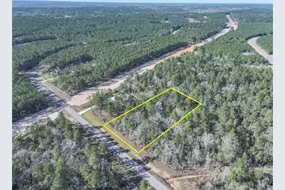 15268 Forest Grove Drive, Willis, TX 77378 - Photo 4