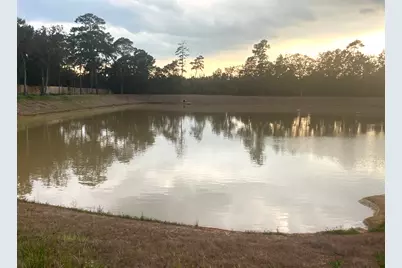 7737 Dog Wood Acres Drive, Montgomery, TX 77316 - Photo 10