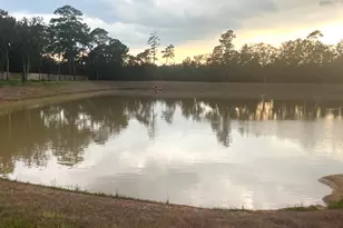 7737 Dog Wood Acres Dr, Montgomery, TX 77316 - Photo 10