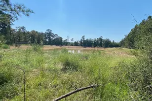 7737 Dog Wood Acres Dr, Montgomery, TX 77316 - Photo 12