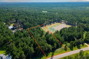 7737 Dog Wood Acres Dr, Montgomery, TX 77316 - Photo 4