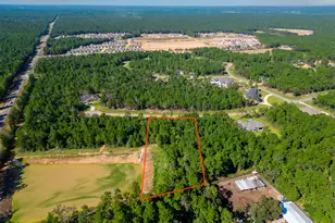 7737 Dog Wood Acres Dr, Montgomery, TX 77316 - Photo 6