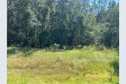 7737 Dog Wood Acres Drive, Montgomery, TX 77316 - Photo 8