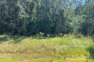 7737 Dog Wood Acres Dr, Montgomery, TX 77316 - Photo 8